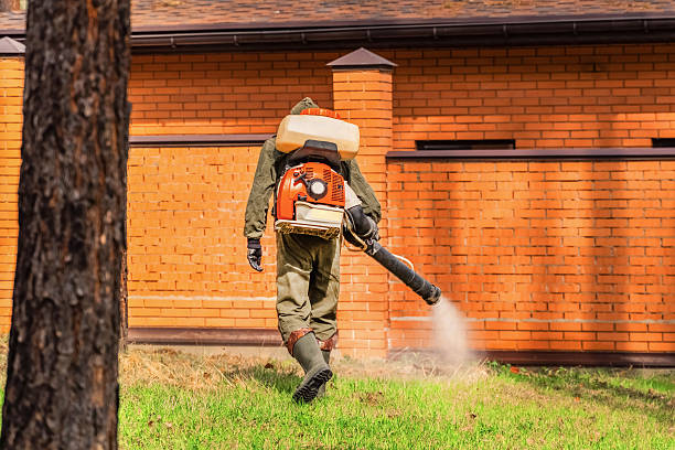 Trusted Bed Bug Control service in Corpus Christi, TX - Nex Pest Control